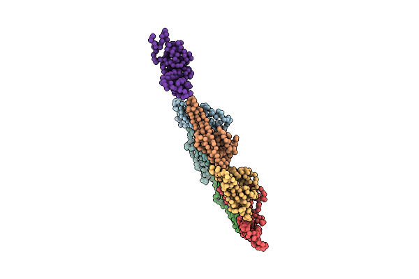 4AN5 image