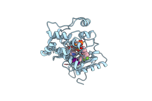 4AN9 image