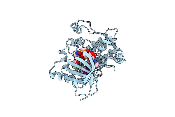 4ANB image