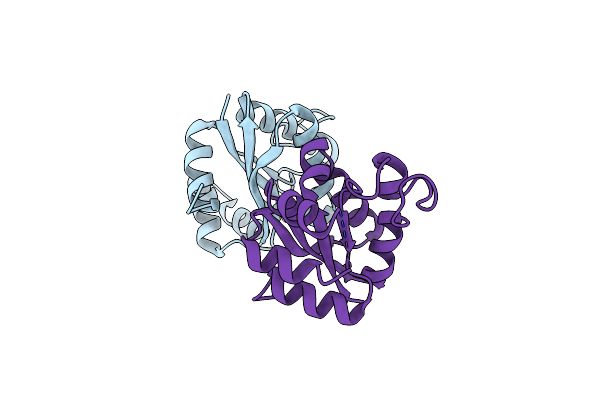 4AND image