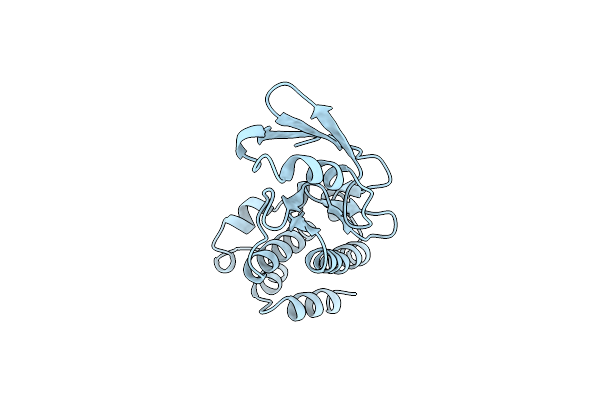 4ANN image
