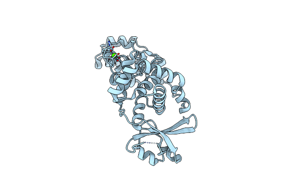 4ANR image