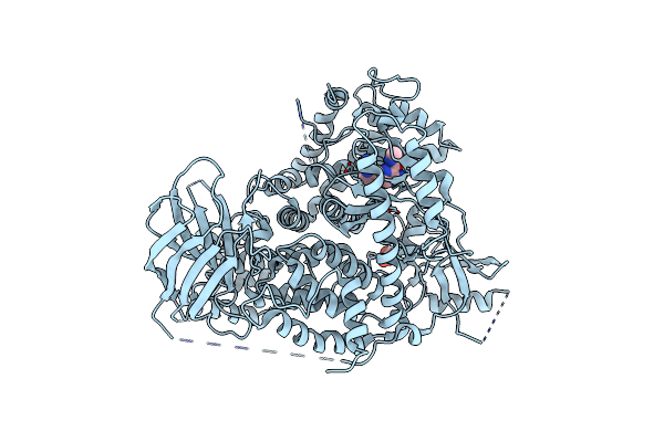 4ANU image