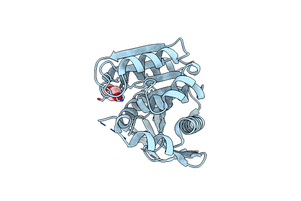 4AO8 image