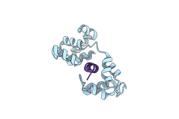 4AOM image