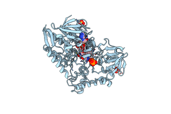 4AP3 image