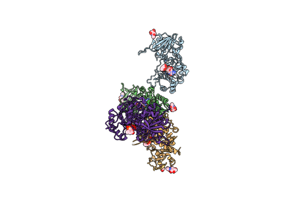 4AP6 image