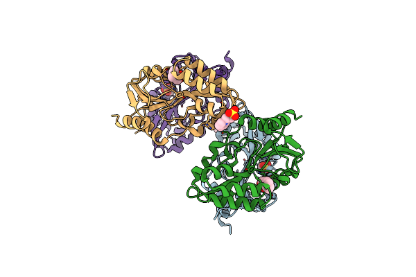4AP9 image