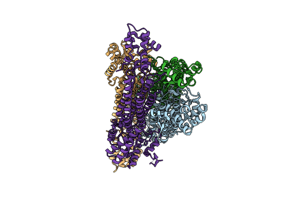4APA image