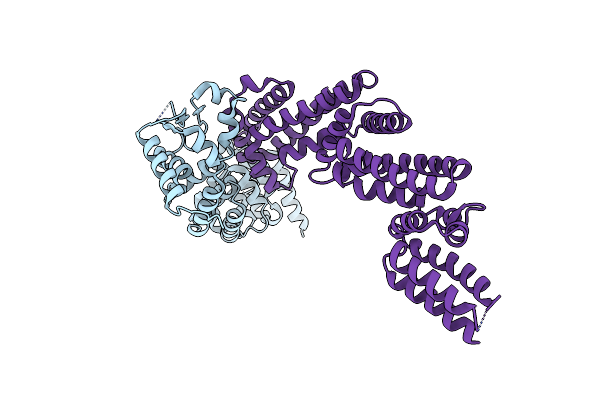 4APF image