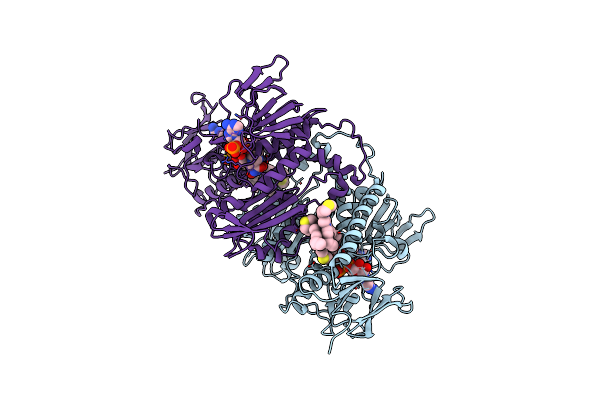 4APN image