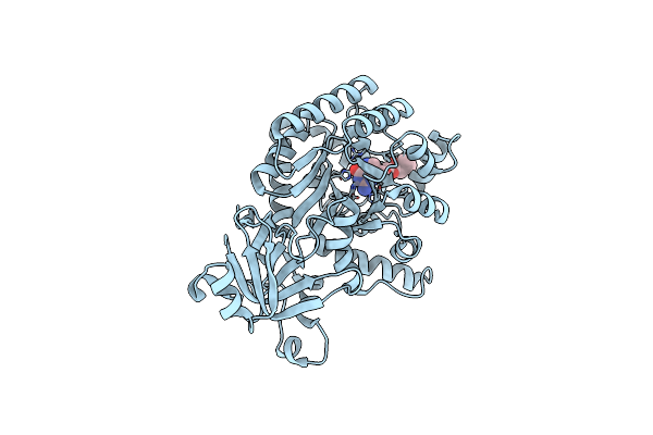 4AQL image