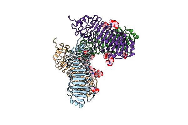 4ARN image