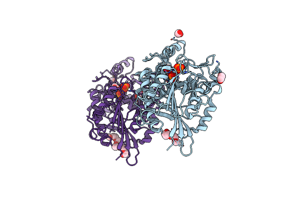 4ARV image