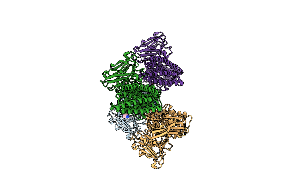 4ARX image
