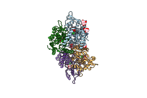 4AS2 image
