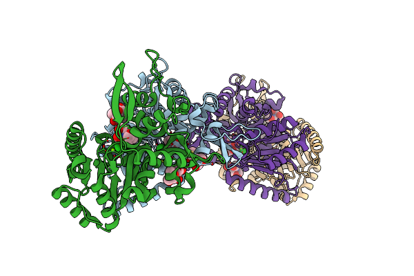 4AS3 image