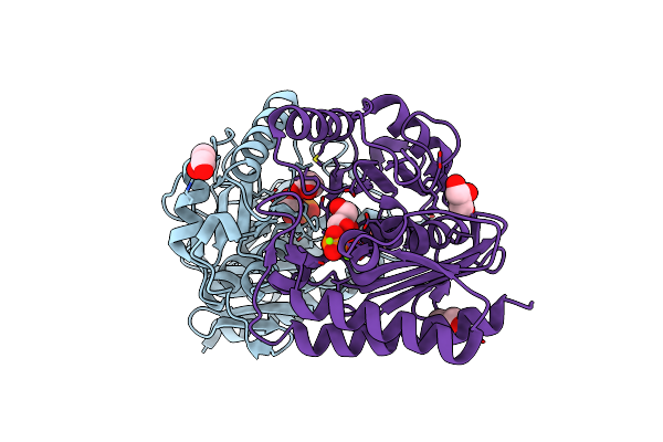 4AS4 image