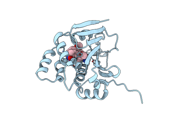 4AS9 image