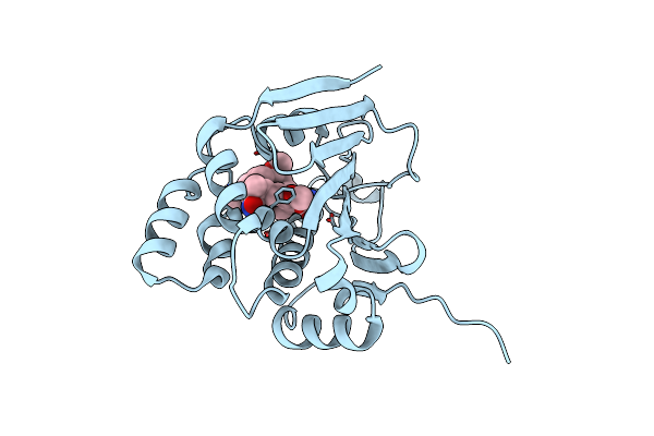 4ASA image
