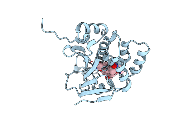 4ASB image