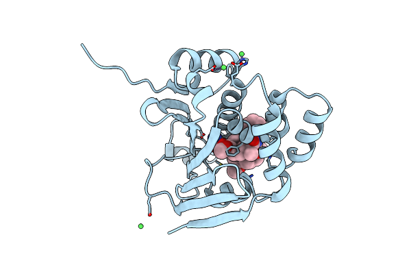 4ASG image