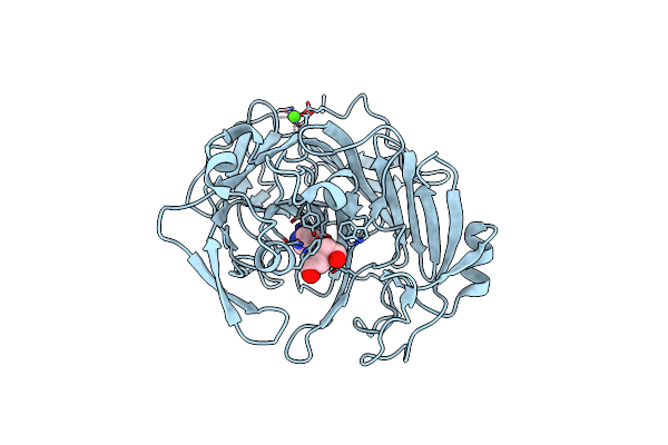 4ASM image