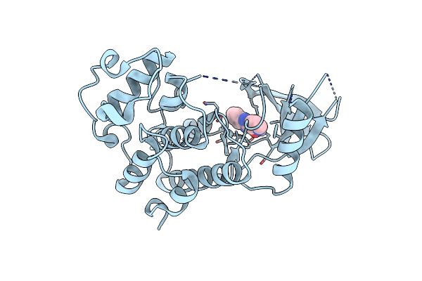 4AUA image