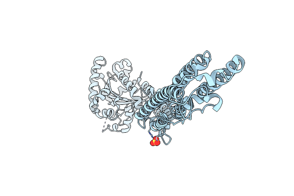 4AUR image