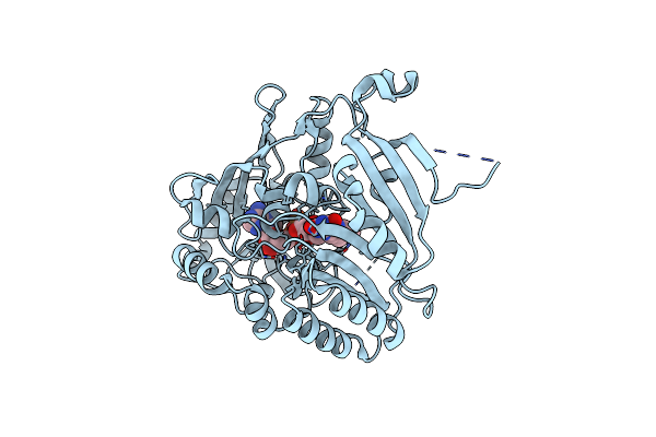 4AUT image