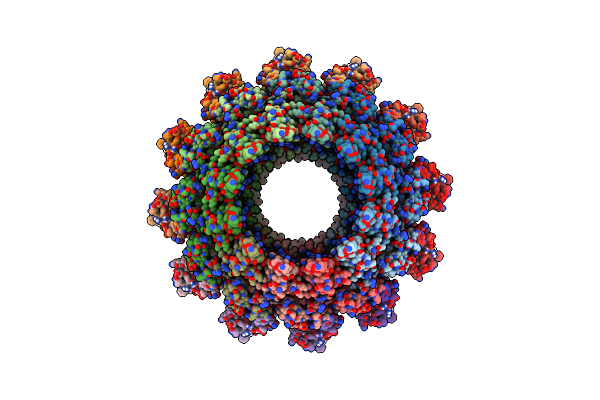 4AV2 image
