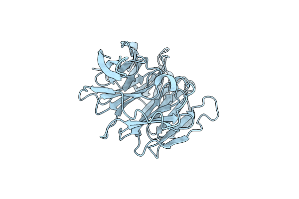 4AV8 image
