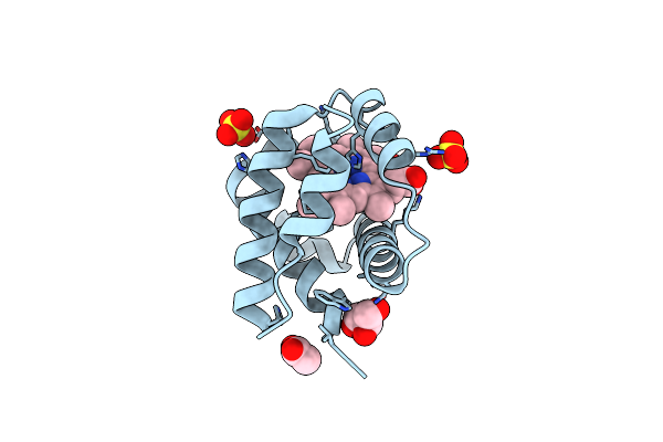 4AVD image