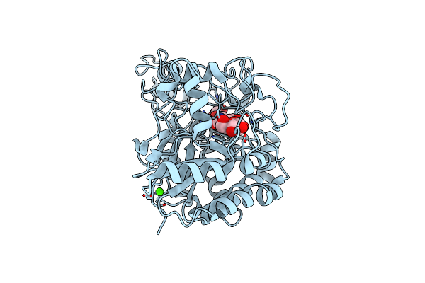 4AVN image