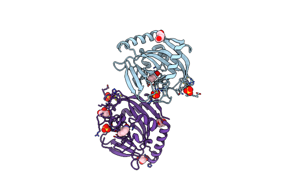 4AVU image