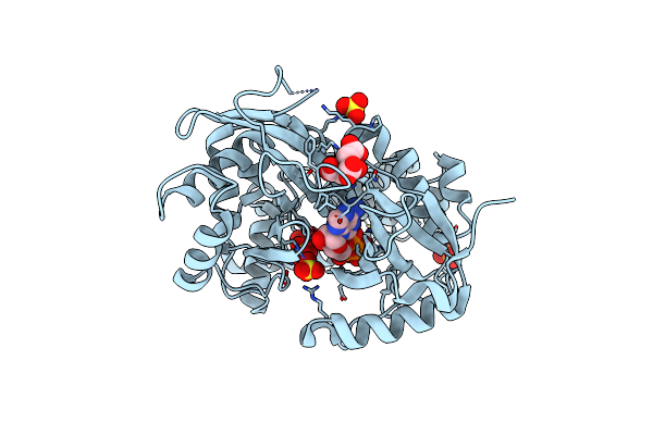 4AXD image
