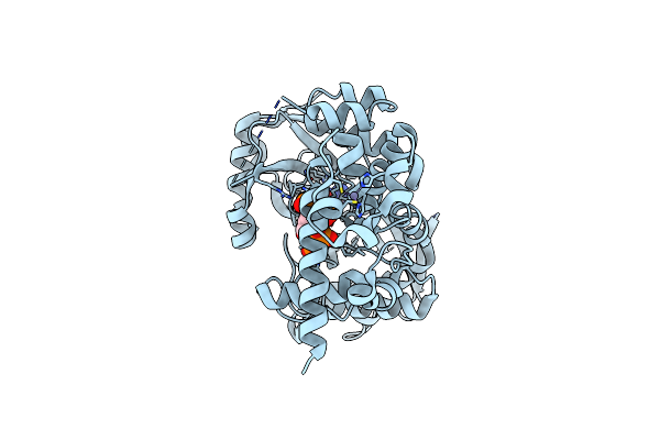 4AXF image