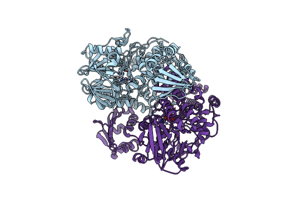 4AXH image