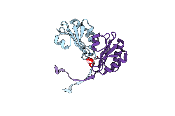 4AXI image