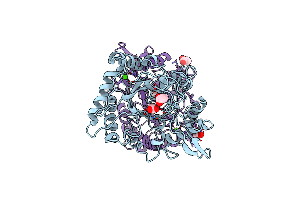 4AXN image