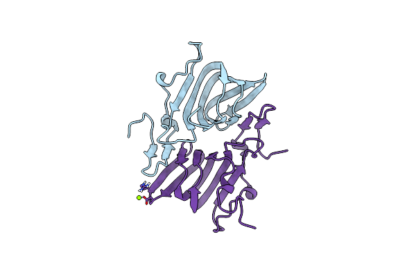 4AXO image