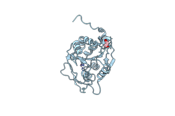 4AXV image