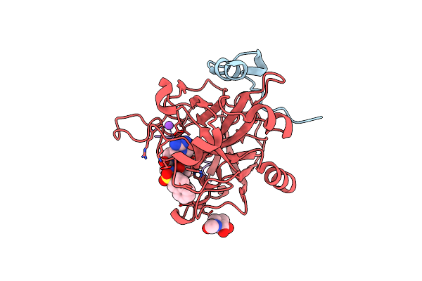 4AYV image