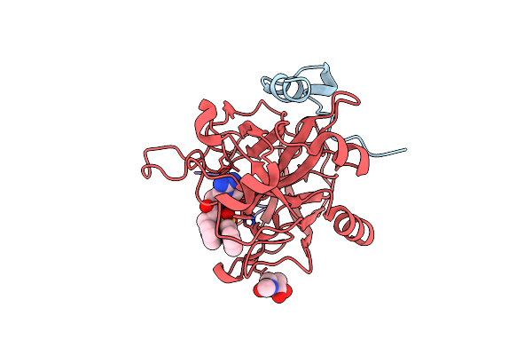 4AZ2 image