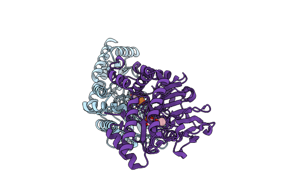 4AZK image