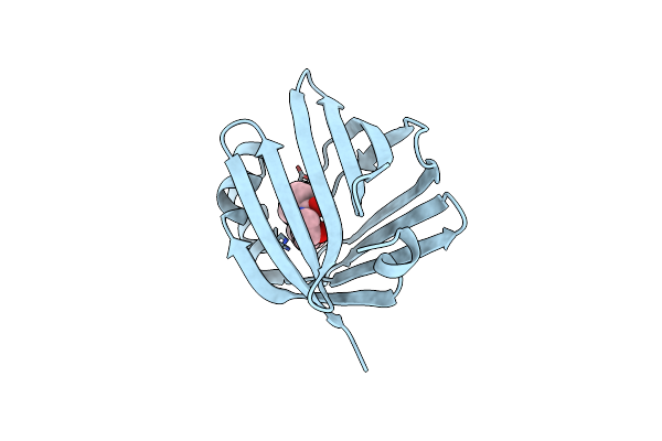4AZP image