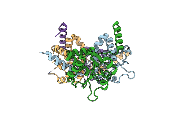 4B04 image
