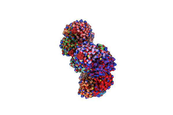 4B09 image