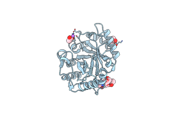4B15 image