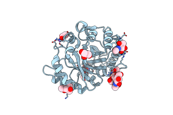 4B16 image